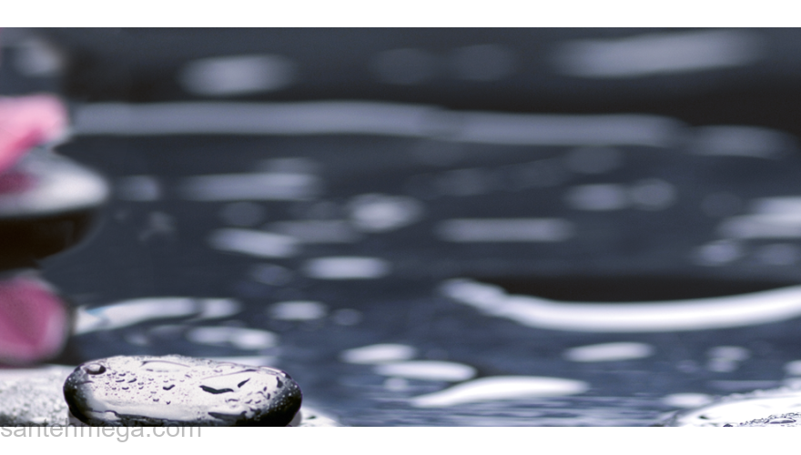 НЕФРИТ-КЕРАМИКА 04-01-1-10-04-04-162-2 Вставка Орхидея 250х500 черный