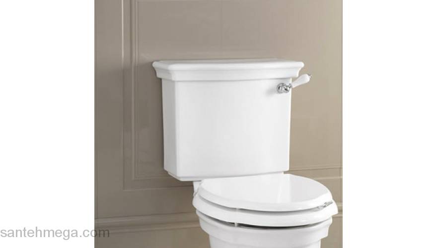 Бачок белый Devon&Devon Westminster IBCBWES. Фото