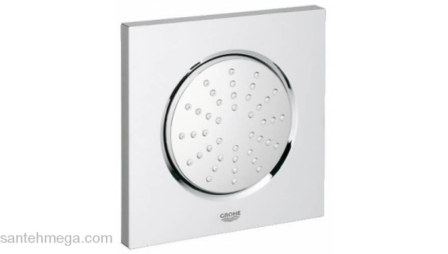 Боковой душ GROHE Rainshower F 27251000. Фото