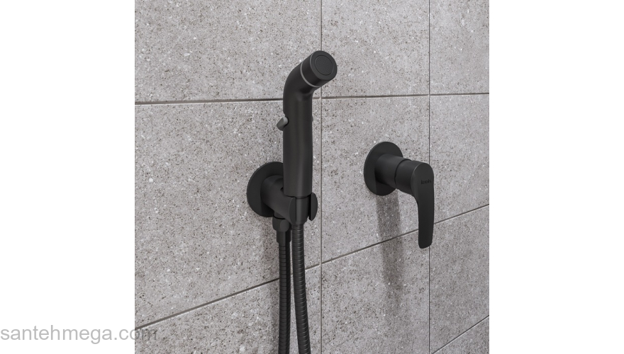 Встраиваемый смеситель с гигиеническим душем черный матовый Ray IDDIS RAYBLR2i08. Фото