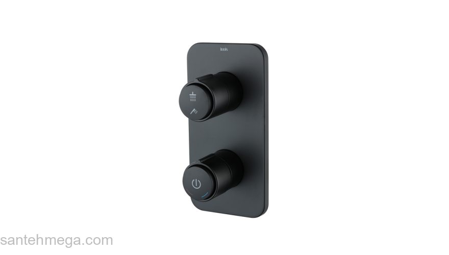 Встраиваемый смеситель с двумя выходами с управлением Push Control черный матовый Slide IDDIS SLIBLBTi67. Фото