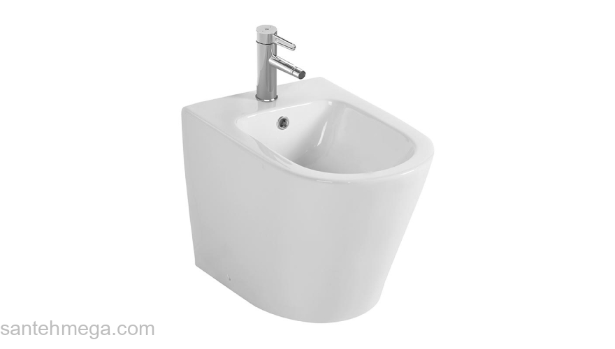 Биде напольное JACOB DELAFON Rodin+ EBJ0002-00. Фото