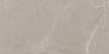 LASSELSBERGER 6260-0017 Керамический гранит Блюм 300х600 мокко. Фото