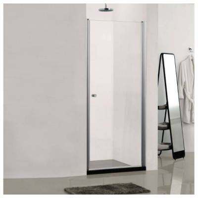 Душевая дверь SOLE Enter 80. Фото