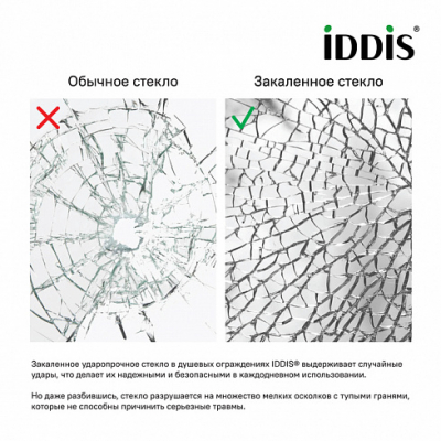 Душевая дверь IDDIS Slide 110х195 SLI6BS1i69. Фото