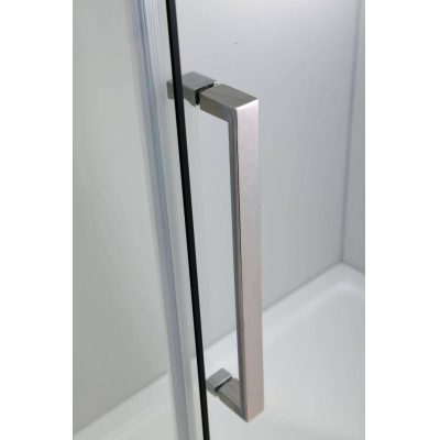 Душевая дверь BLACK & WHITE Stellar Wind S218 1000. Фото