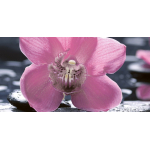 НЕФРИТ-КЕРАМИКА 04-01-1-10-04-04-162-1 Вставка Орхидея 250х500 черный